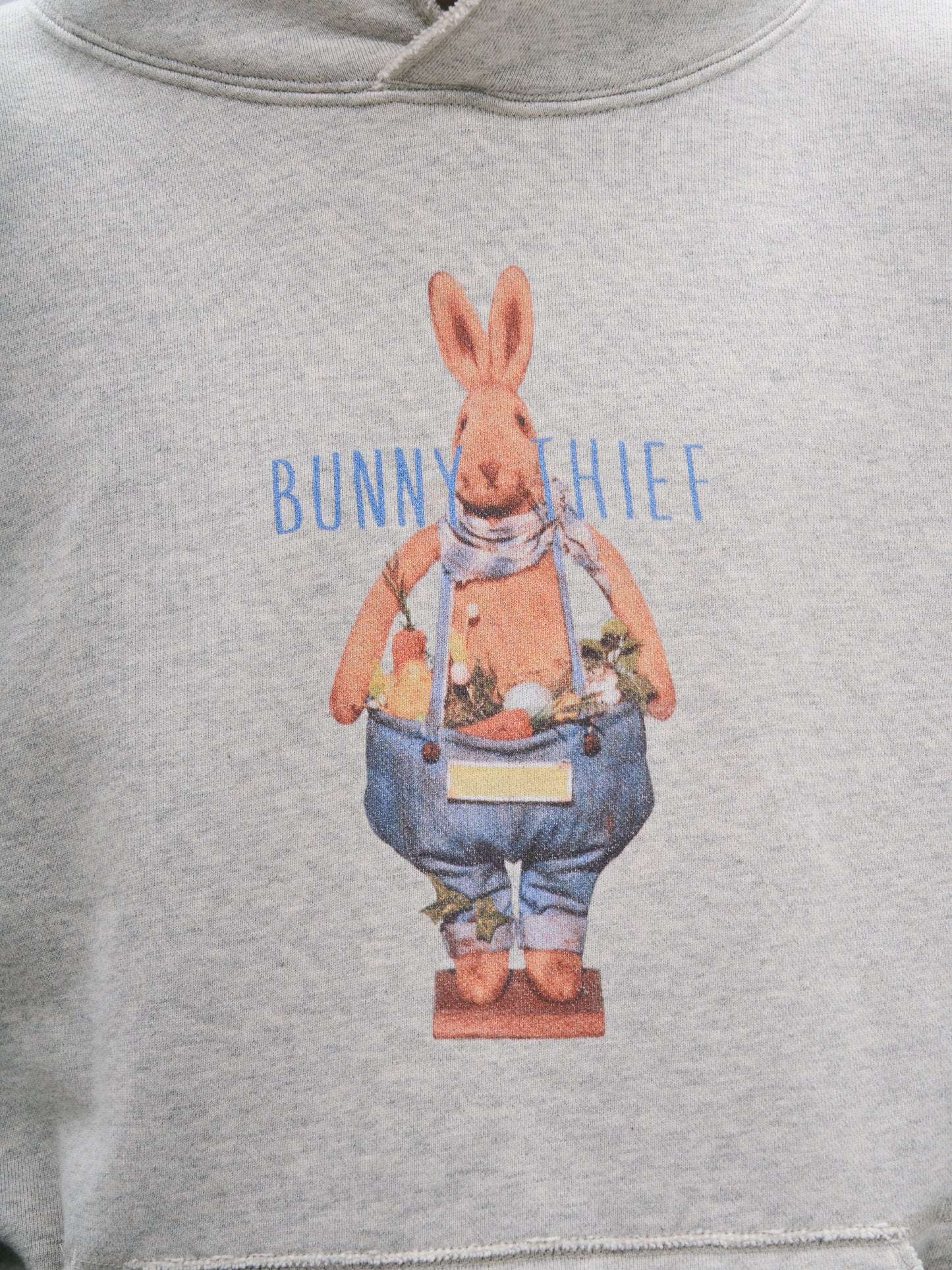 Rogue Rabbit Seamed Retro Hoodie