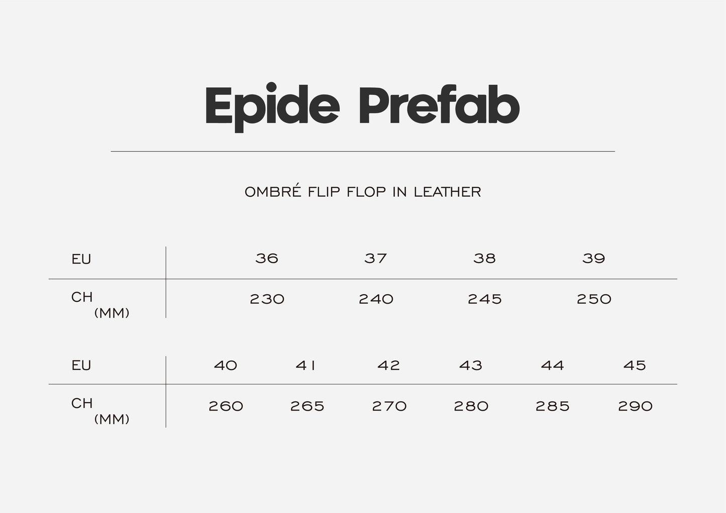 Ombré Flip Flop in Leather